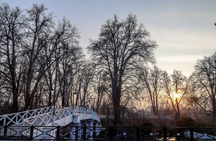 Cold Conditions Intensify In Kashmir; Fringes Of Several Water Bodies Freeze